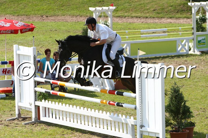 204M4348_Sirius Black_Springpferde_L.JPG